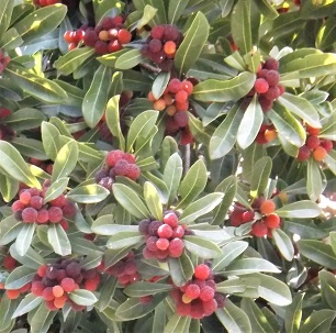 ���}����