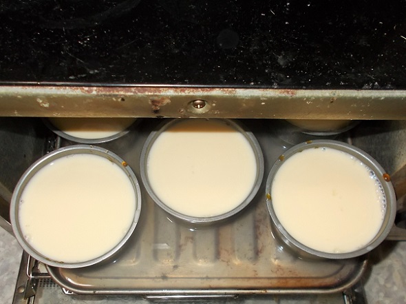 日本一おいしいプリン