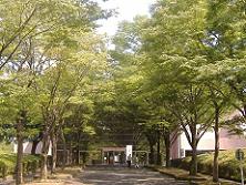 国立婦人教育会館