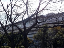 �j���[�g�������ӓ��w