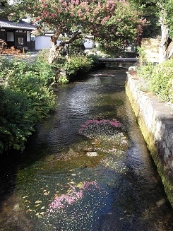 ������E�~�ԑ�