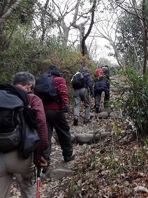 �Y�N�n�C�L���O