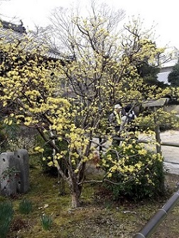 �������E�T���V����