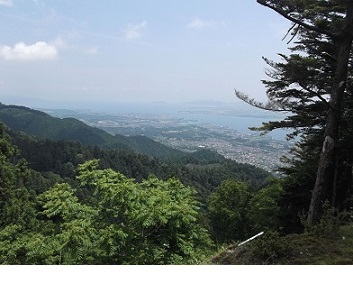 ��{�̒����݂Ɣ��i��