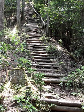 �}�s�Ȋۑ��̊K�i