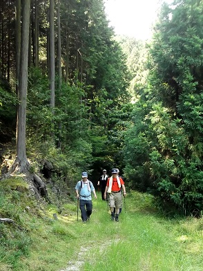 �쉈���̐��ѓ�