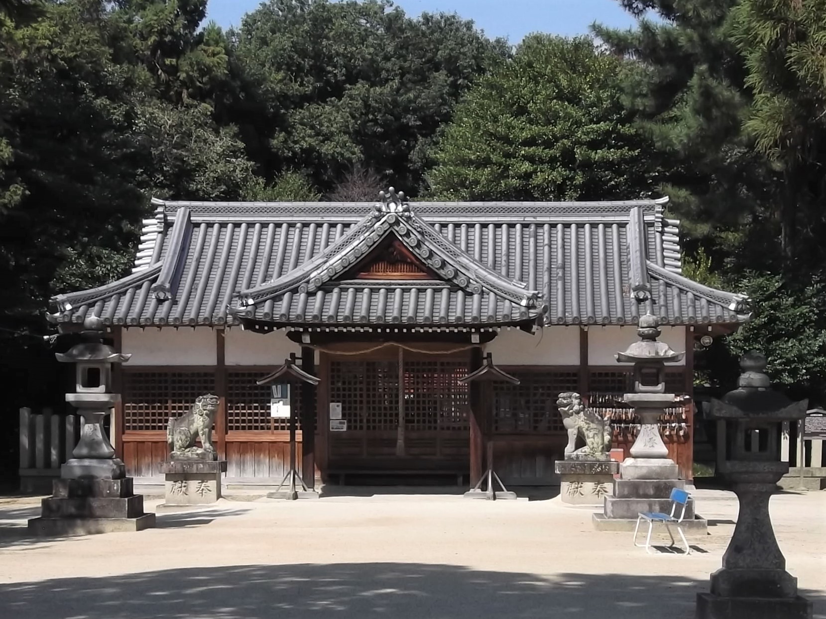 ���q���n�C�L���O�E����_��