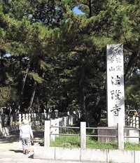 ���q���n�C�L���O�E�@����������