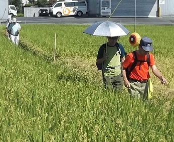 ���q���n�C�L���O�E���g��