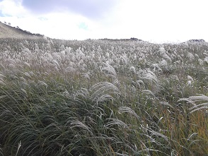 �]�������i�X�X�L�j�n�C�L���O