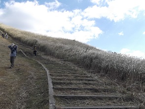 �]�������i�X�X�L�j�n�C�L���O