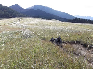 �]�������i�X�X�L�j�n�C�L���O