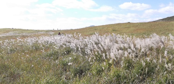 �]�������i�X�X�L�j�n�C�L���O