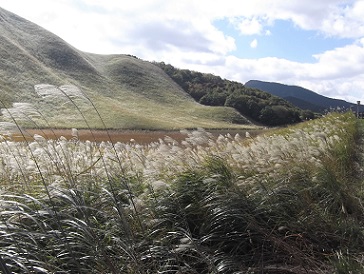 �]�������i�X�X�L�j�n�C�L���O