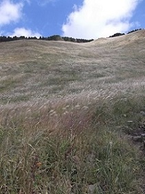 �]�������i�X�X�L�j�n�C�L���O