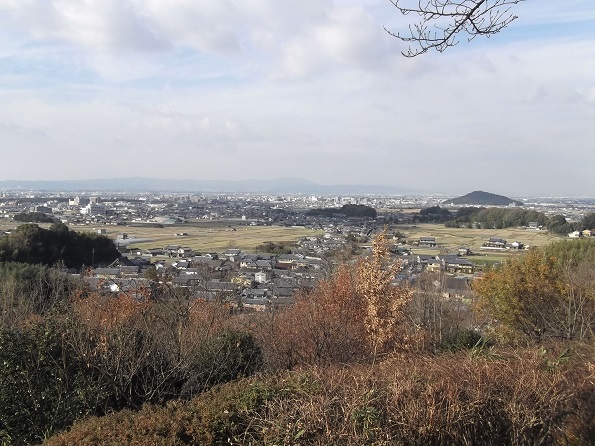 ���q���n�C�L���O�E�Ê~�u