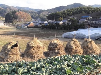 ���q���n�C�L���O�E�m��