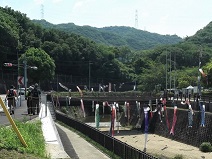 ���s�E�ق������n�n�C�L���O