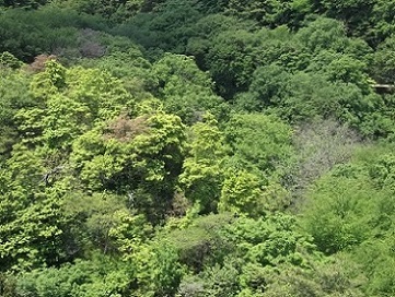 ���s�E�ق������n�n�C�L���O