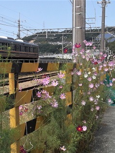 ���ɐ�k�J�E�����m�R���p���Ճn�C�L���O