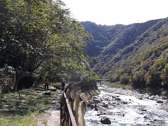 ���ɐ�k�J�E�����m�R���p���Ճn�C�L���O