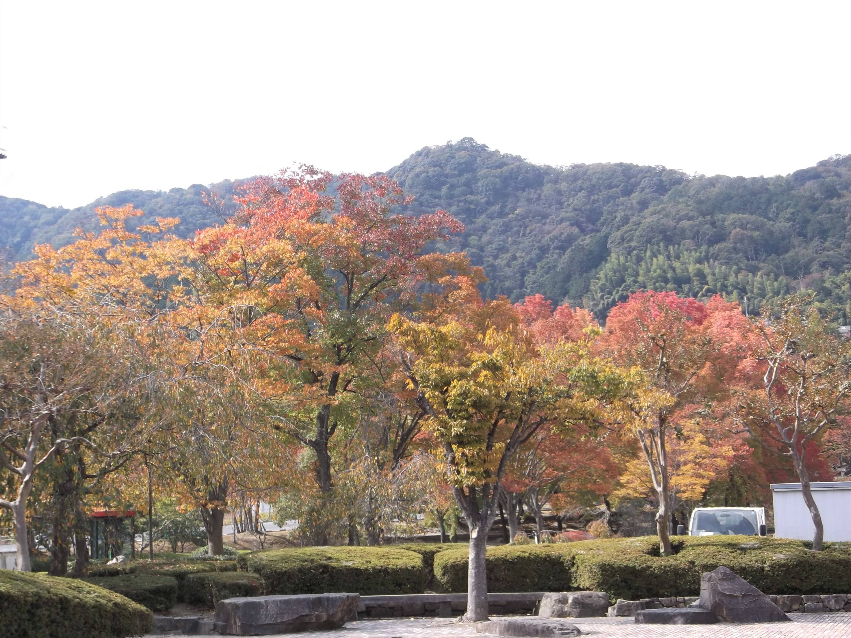 ���C���R�����U���E�c�q���u����