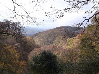 �\�������R