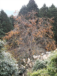 �\�������R