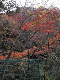 �\�������R