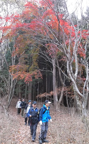 �\�������R