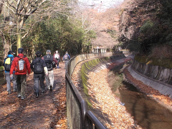 ���i�Α`��