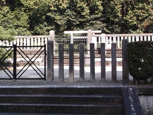 �V�q�V�c�R�ȗ�