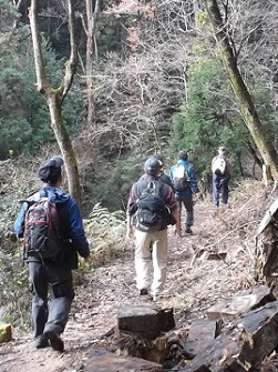 ���i�Α`��