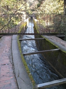 ��T�����H�t