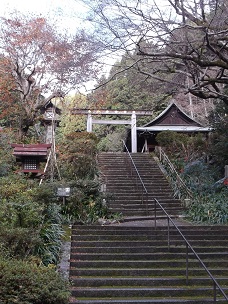 ������_�{