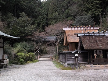 ������_�{