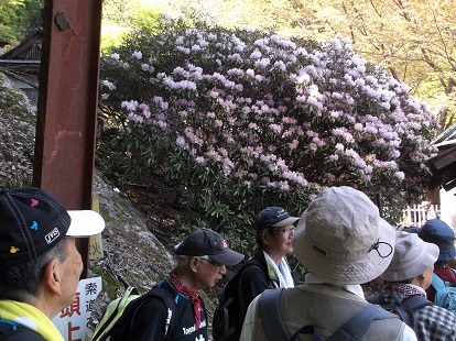 ���֎��i���̂�ł�j�̖{�Γ��