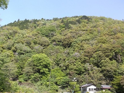 ���֎��i���̂�ł�j�̖{�Γ��