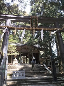 �����_�АΒi���̍L��