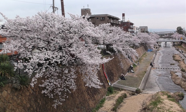 ��_�ԍ������E������