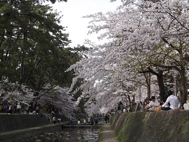 ��_�ԍ������E�g�����