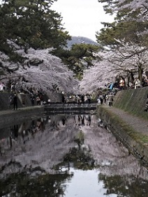 ��_�ԍ������E�g�����