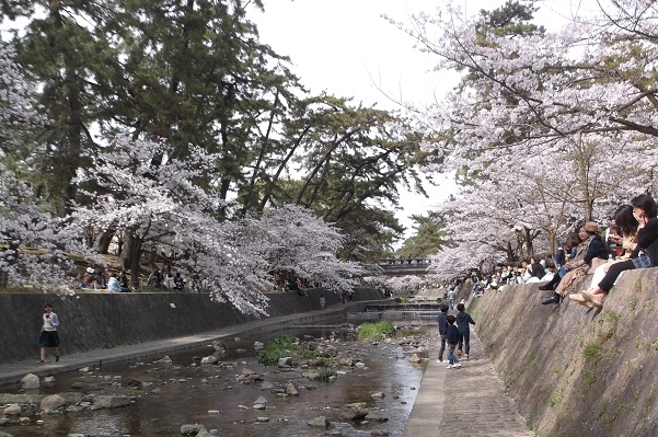 ��_�ԍ������E�g�����