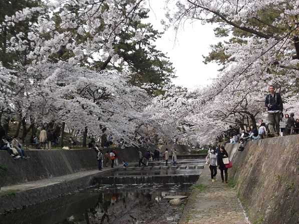 ��_�ԍ������E�g�����