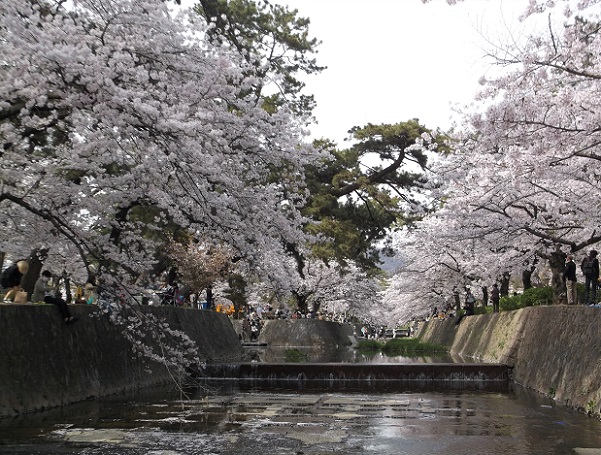 ��_�ԍ������E�g�����