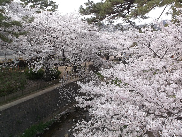 ��_�ԍ������E�g�����