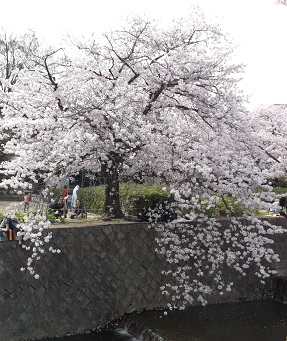 ��_�ԍ������E�g�����