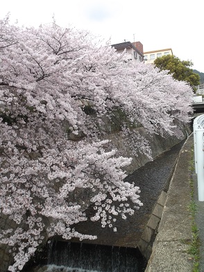 �_�ˎs���������s���