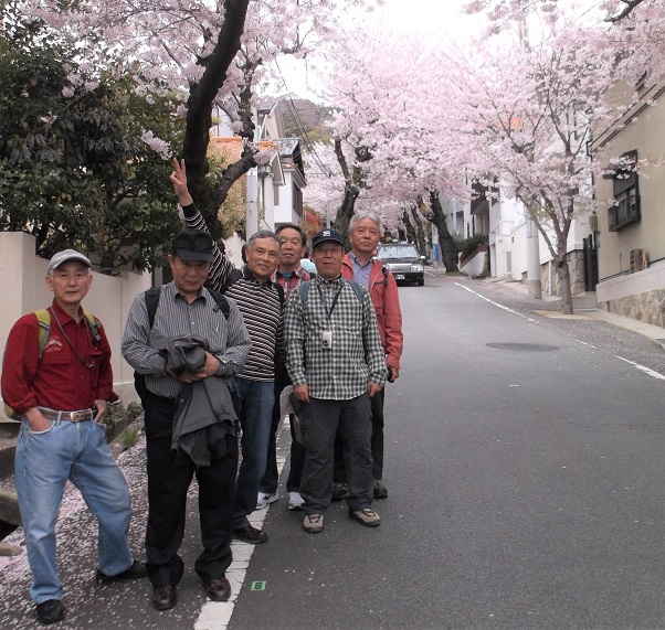 �_�ˎs������������P�[�u����