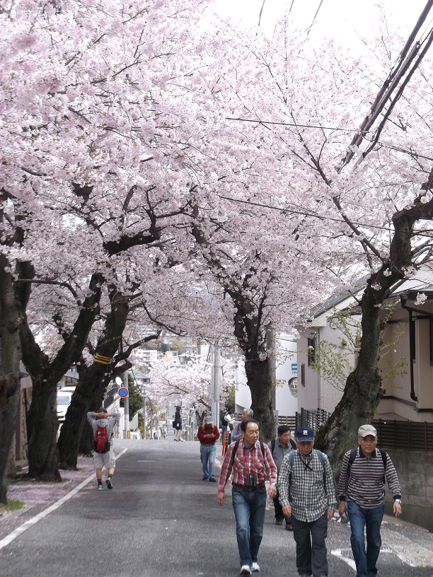 �_�ˎs������������P�[�u����